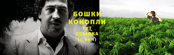 герыч Бикин