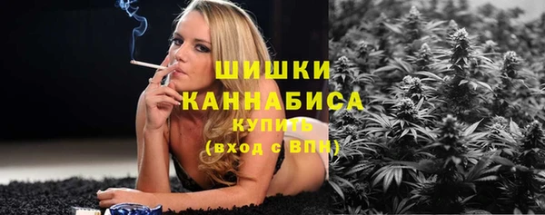 гидра Беслан