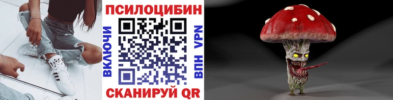 купить наркоту Ахтубинск Псилоцибиновые грибы Psilocybe