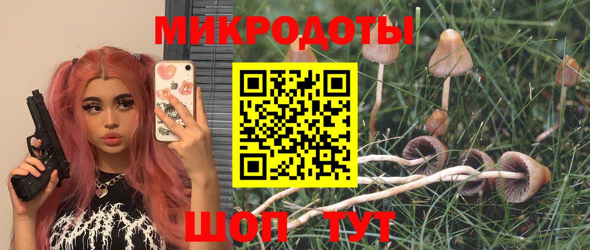 закладка  Галлюциногенные грибы ЛСД  Вход с VPN  Ахтубинск 